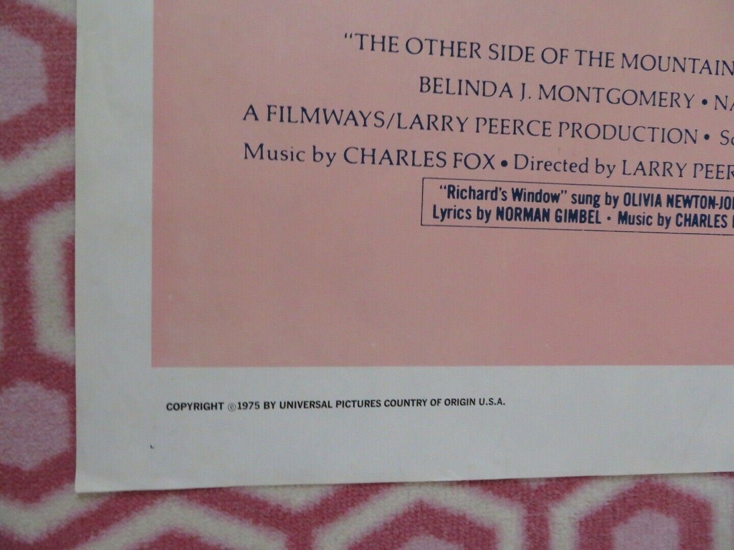 THE OTHER SIDE OF THE MOUNTAIN US ONE SHEET POSTER MARILYN HASSETT Movie posters