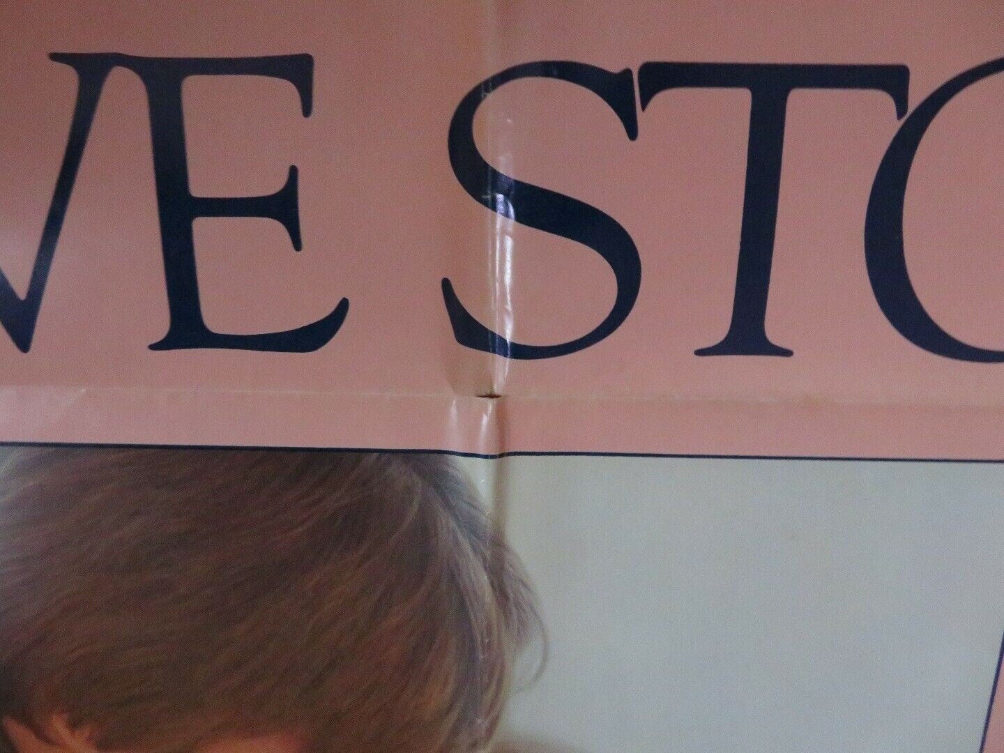 THE OTHER SIDE OF THE MOUNTAIN US ONE SHEET POSTER MARILYN HASSETT Movie posters