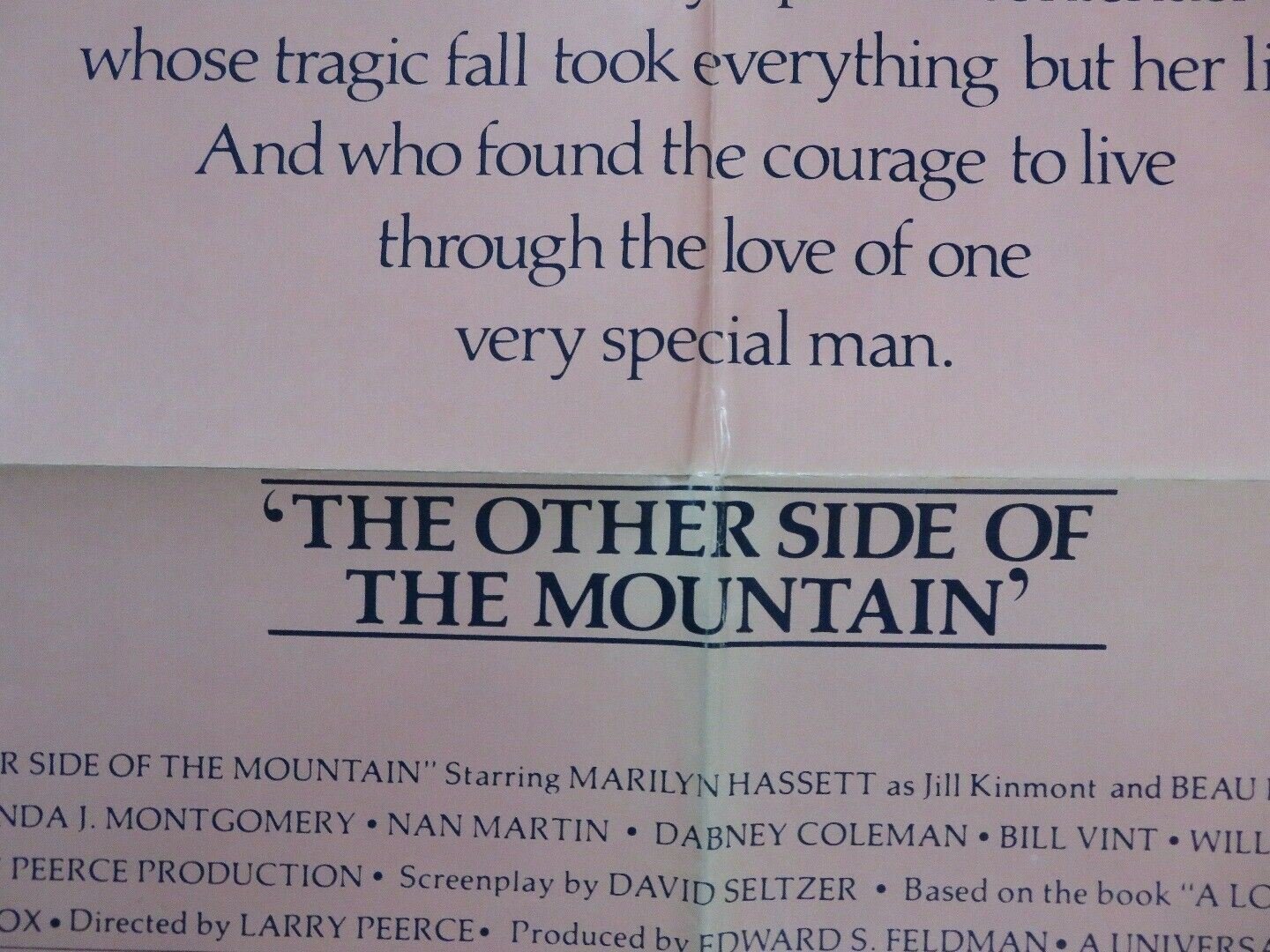 THE OTHER SIDE OF THE MOUNTAIN US ONE SHEET POSTER MARILYN HASSETT Movie posters