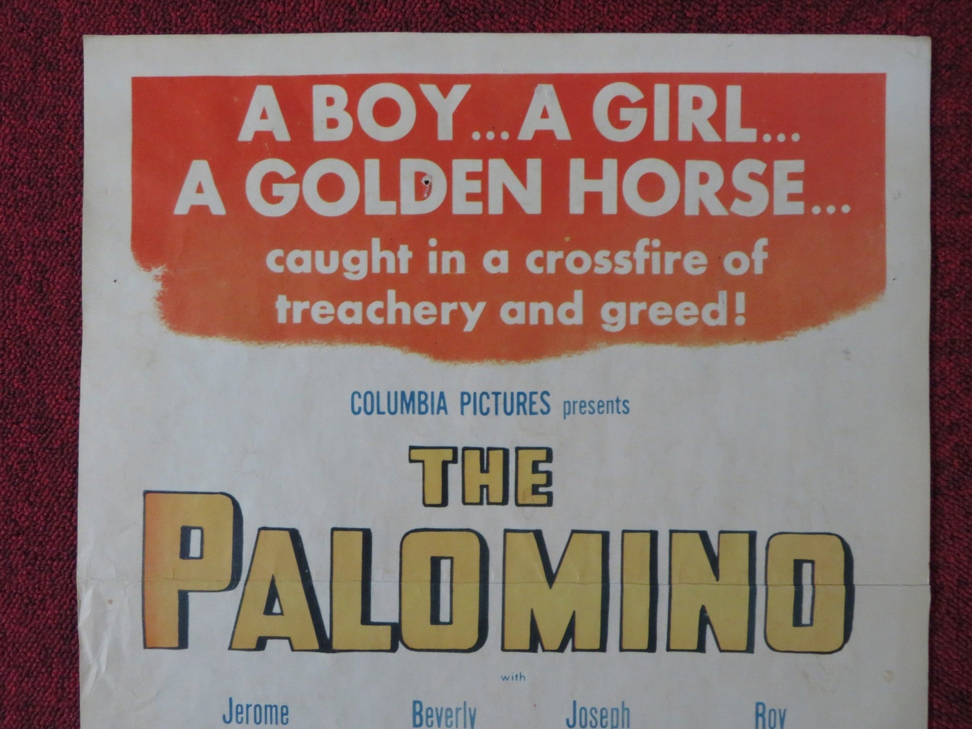 THE PALOMINO US INSERT (14"x 36") POSTER JEROME COURTLAND BEVERLY TYLER 1950 Rendezvous Cinema Movie posters