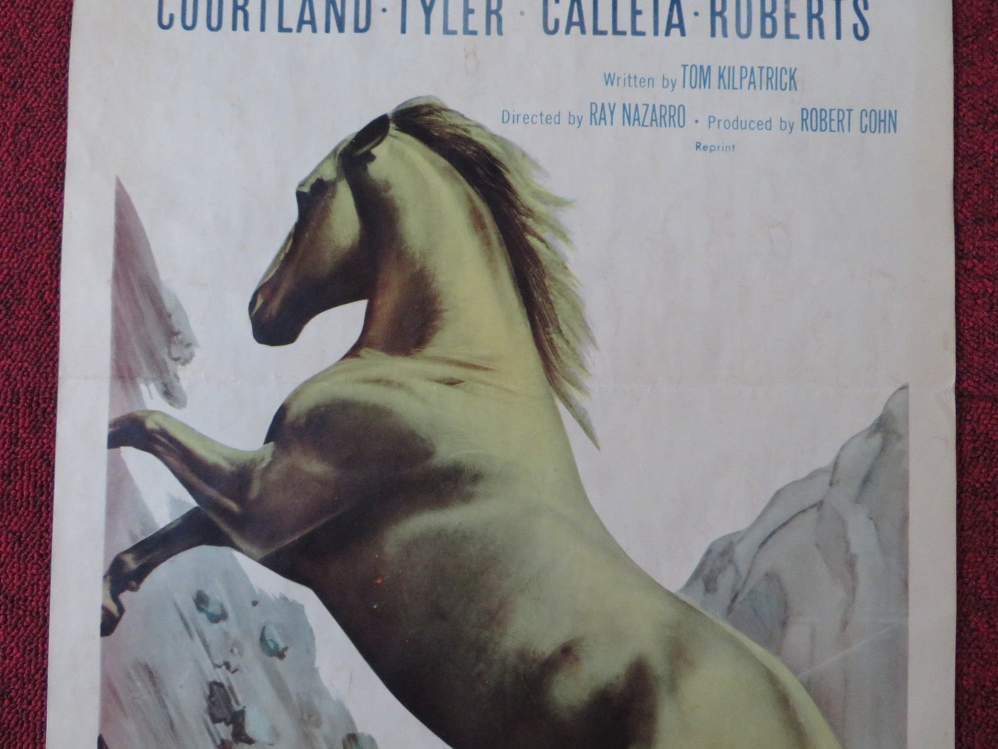 THE PALOMINO US INSERT (14"x 36") POSTER JEROME COURTLAND BEVERLY TYLER 1950 Rendezvous Cinema Movie posters