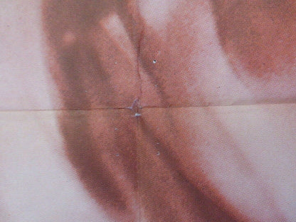 THE PASSION OF SLOW FIRE FOLDED US ONE SHEET POSTER JEAN DESAILLY 1963 Movie posters