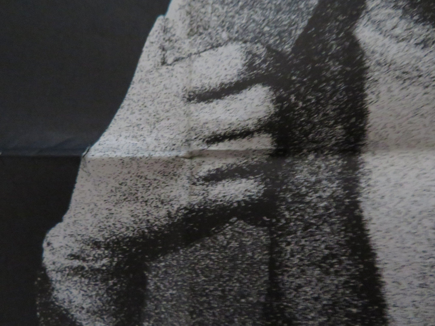 THE PELICAN FRENCH POSTER GERARD BLAIN DOMINIQUE RAVIX 1974 Rendezvous Cinema Movie posters