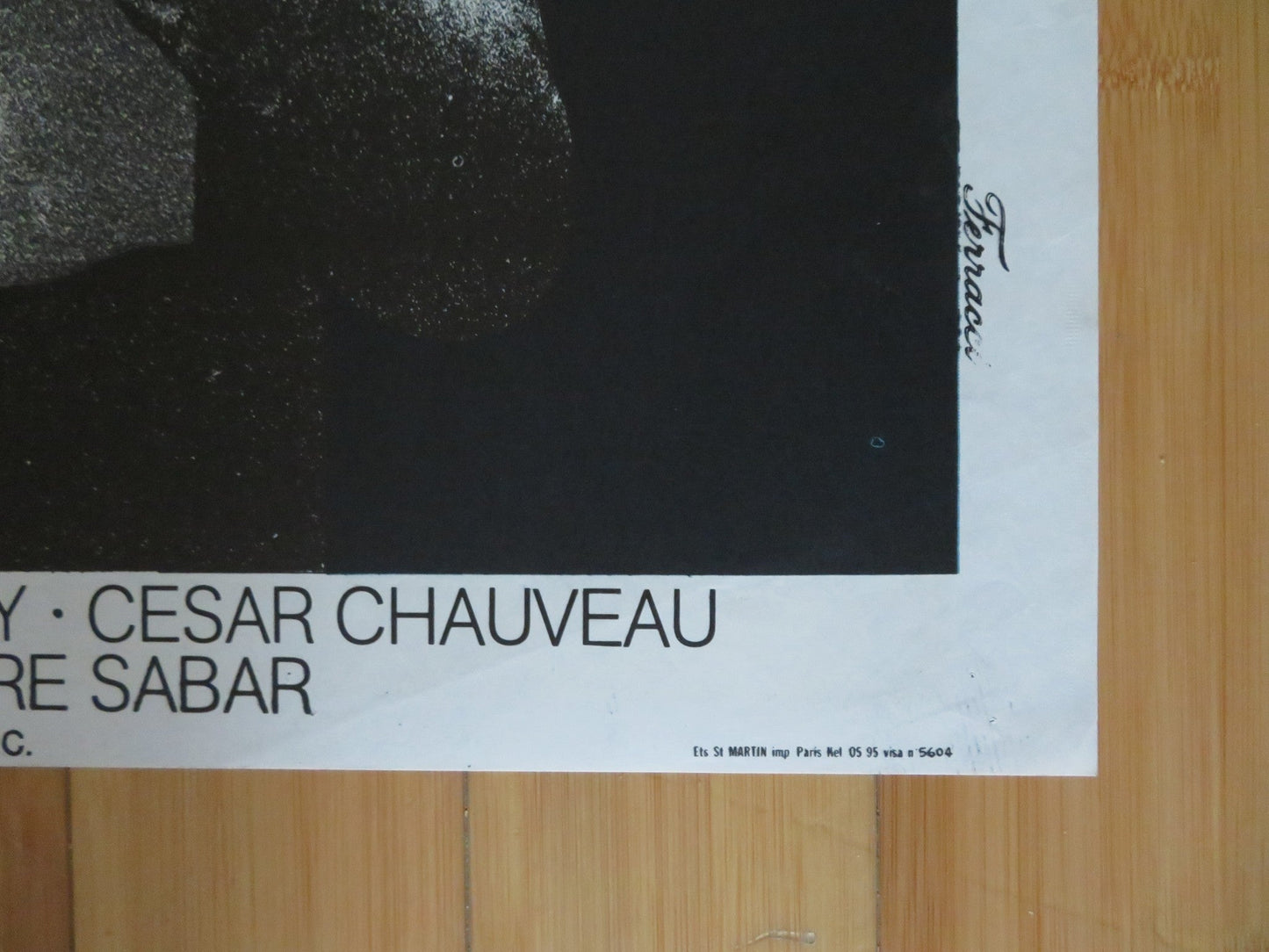 THE PELICAN FRENCH POSTER GERARD BLAIN DOMINIQUE RAVIX 1974 Rendezvous Cinema Movie posters