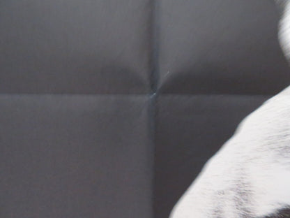 THE PELICAN FRENCH POSTER GERARD BLAIN DOMINIQUE RAVIX 1974 Rendezvous Cinema Movie posters