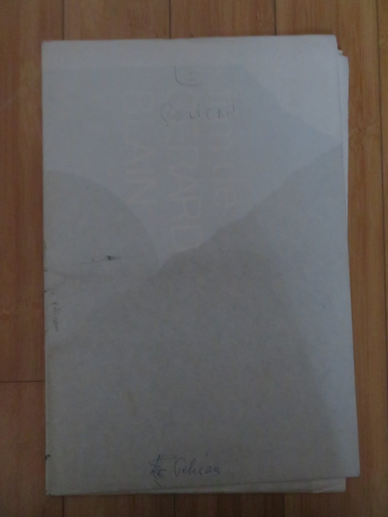 THE PELICAN FRENCH POSTER GERARD BLAIN DOMINIQUE RAVIX 1974 Rendezvous Cinema Movie posters