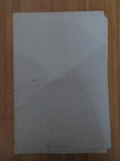 THE PELICAN FRENCH POSTER GERARD BLAIN DOMINIQUE RAVIX 1974 Rendezvous Cinema Movie posters