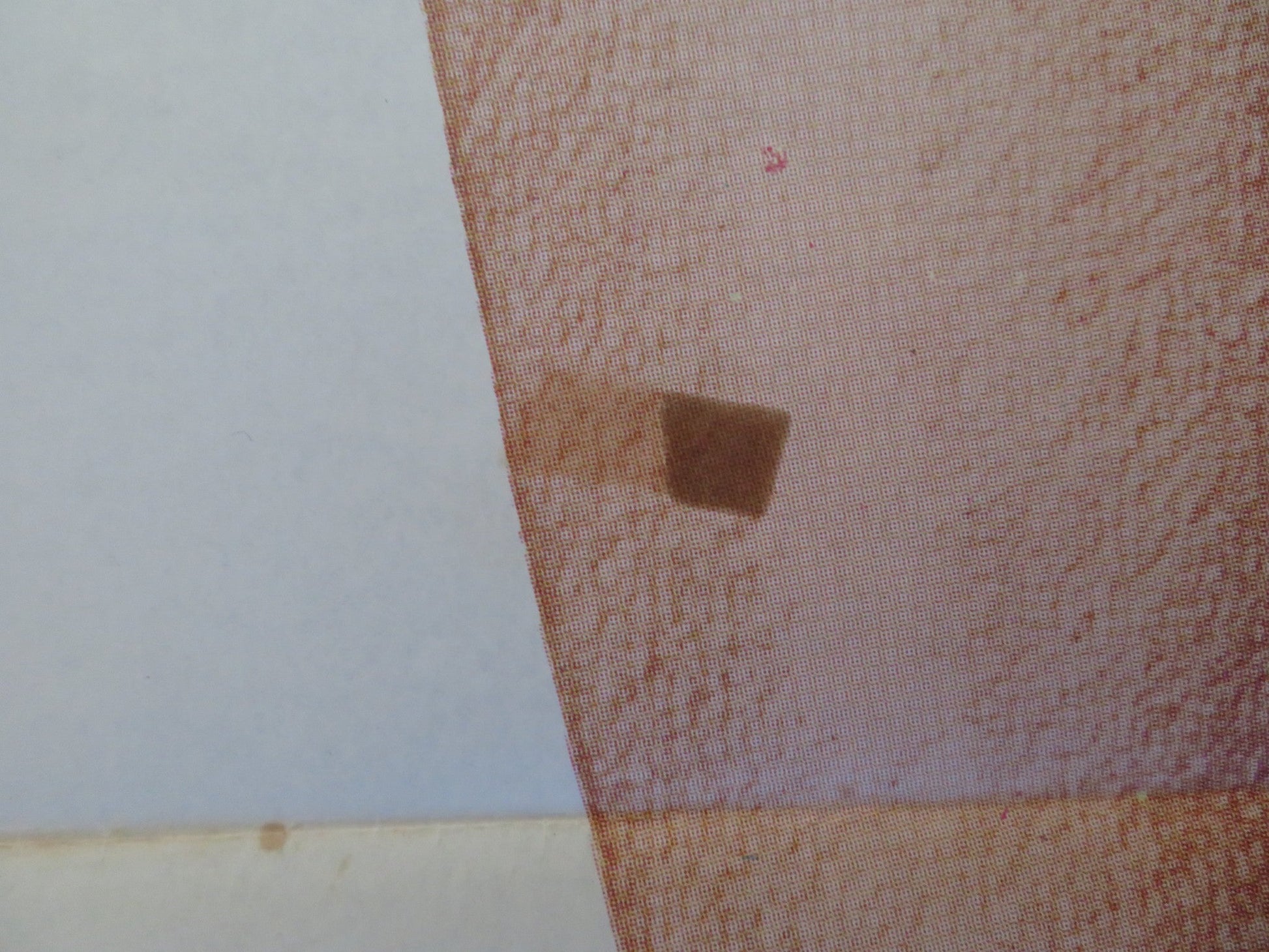 THE POM POM GIRLS SPANISH POSTER ROBERT CARRADINE JENNIFER ASHLEY 1976 Rendezvous Cinema Movie posters