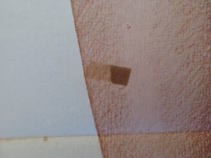 THE POM POM GIRLS SPANISH POSTER ROBERT CARRADINE JENNIFER ASHLEY 1976 Rendezvous Cinema Movie posters