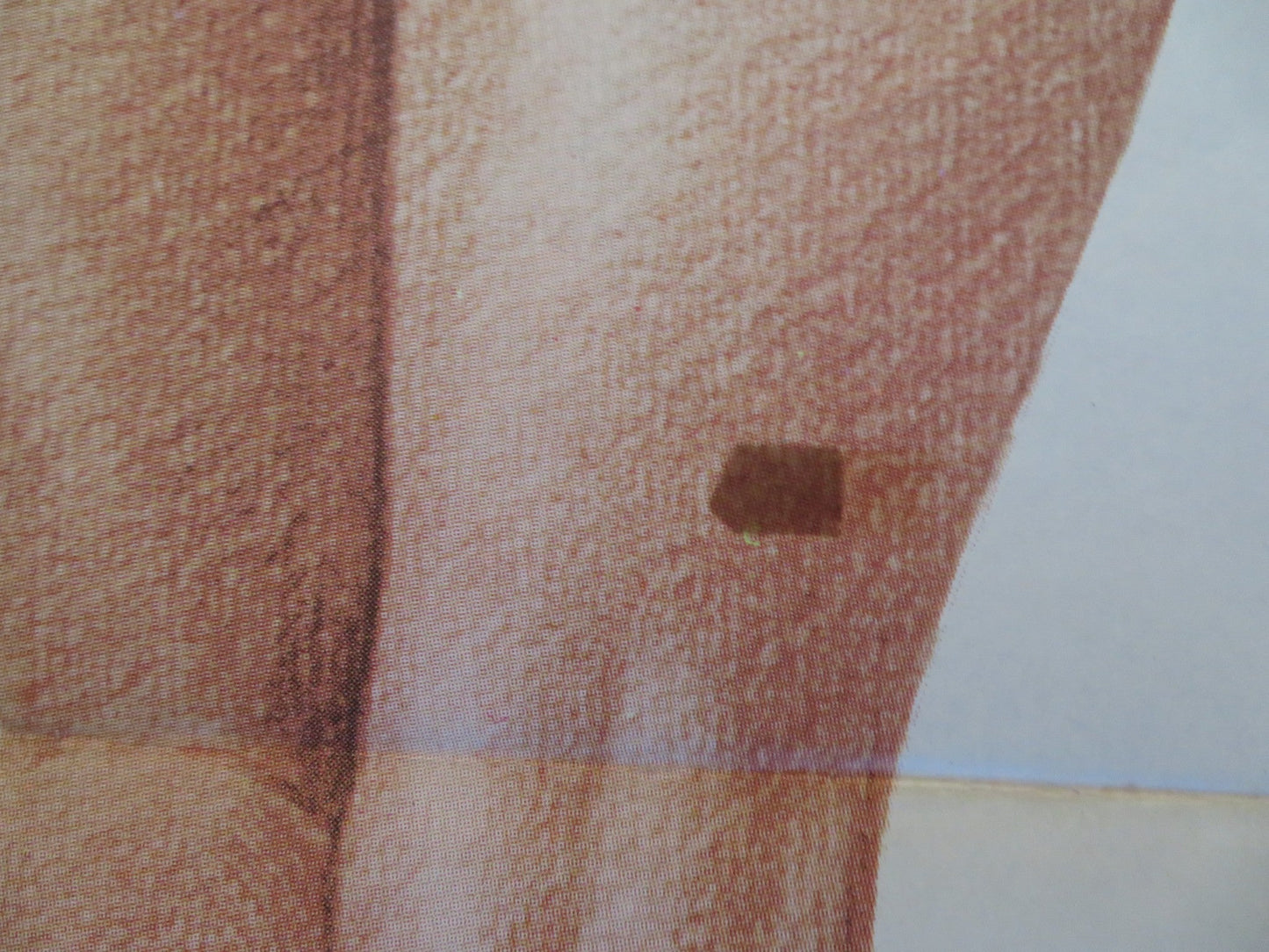 THE POM POM GIRLS SPANISH POSTER ROBERT CARRADINE JENNIFER ASHLEY 1976 Rendezvous Cinema Movie posters