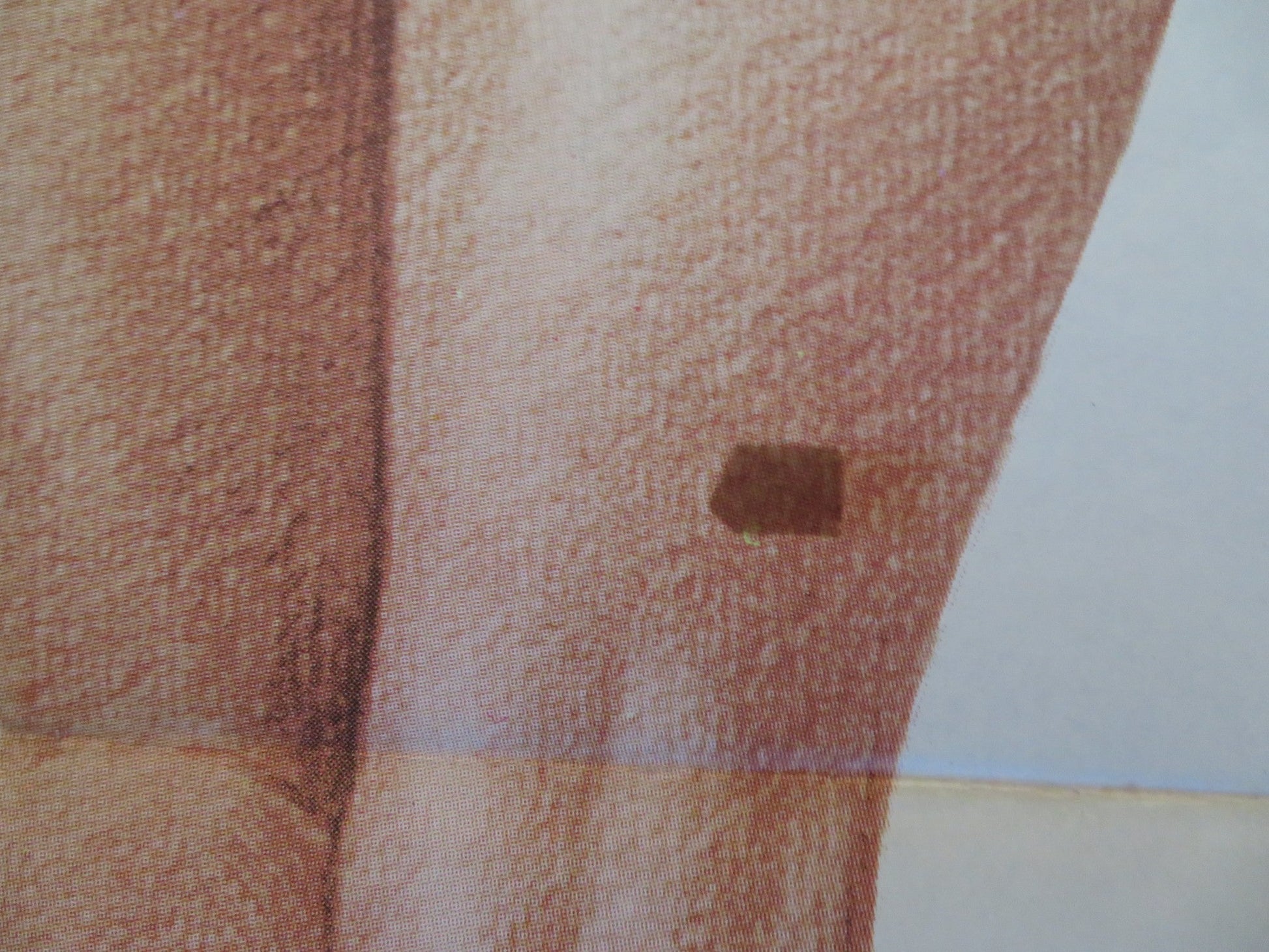 THE POM POM GIRLS SPANISH POSTER ROBERT CARRADINE JENNIFER ASHLEY 1976 Rendezvous Cinema Movie posters