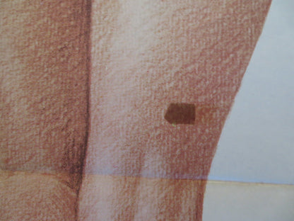 THE POM POM GIRLS SPANISH POSTER ROBERT CARRADINE JENNIFER ASHLEY 1976 Rendezvous Cinema Movie posters