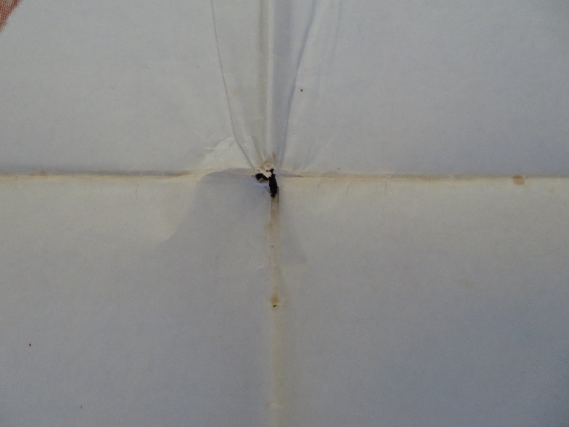 THE POM POM GIRLS SPANISH POSTER ROBERT CARRADINE JENNIFER ASHLEY 1976 Rendezvous Cinema Movie posters