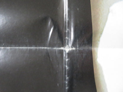 THE POSSESSION OF JOEL DELANEY FOLDED US ONE SHEET POSTER SHIRLEY MACLAINE 1972 Rendezvous Cinema Movie posters