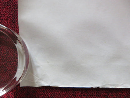 THE PRINCESS DIARIES 2: ROYAL ENGAGEMENT UK QUAD (30"x 40") ROLLED POSTER 2004 Rendezvous Cinema Movie posters