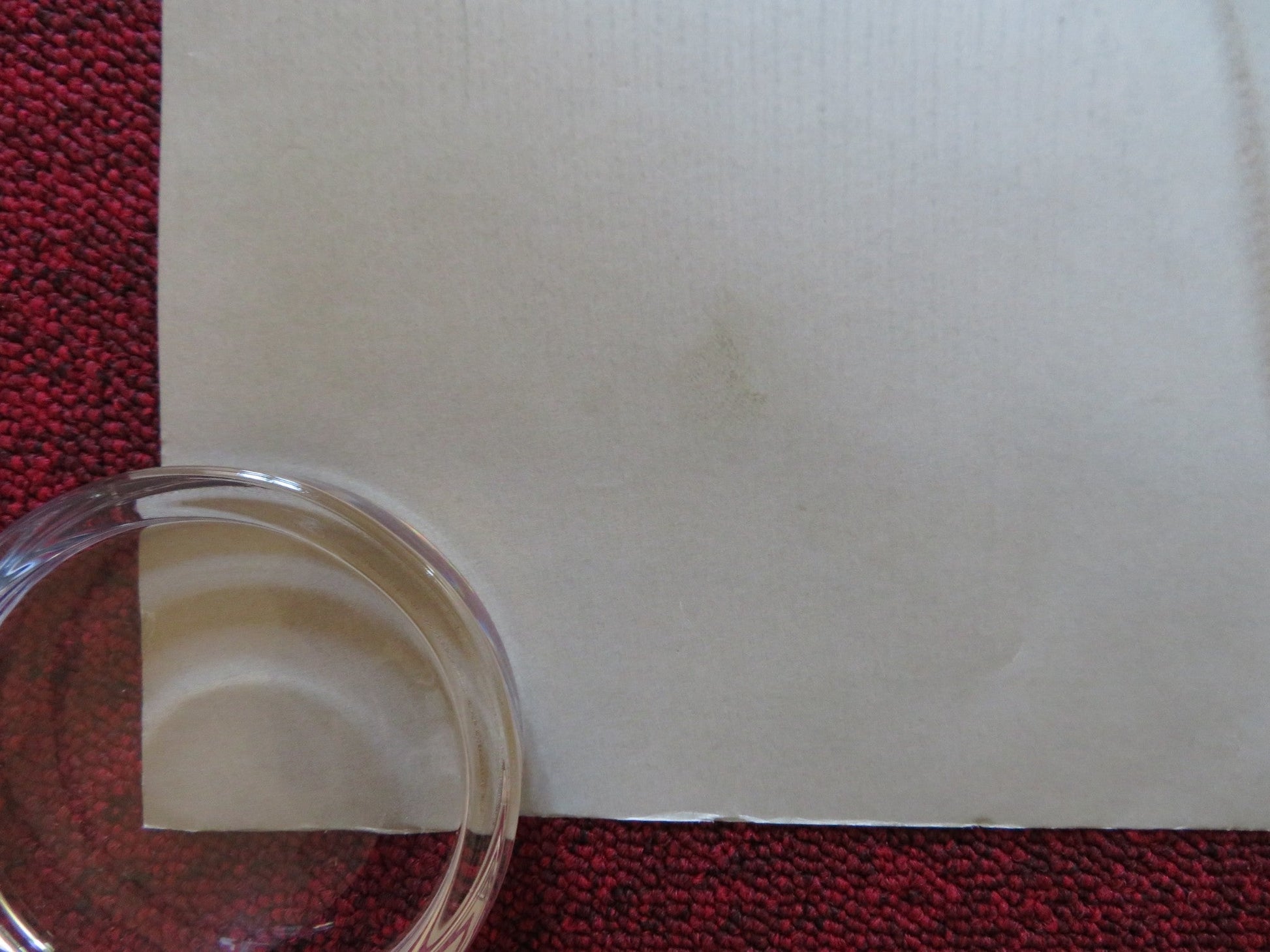 THE PRIVATE LIVES OF PIPPA LEE UK QUAD (30"x 40") ROLLED POSTER R. WRIGHT 2009 Rendezvous Cinema Movie posters