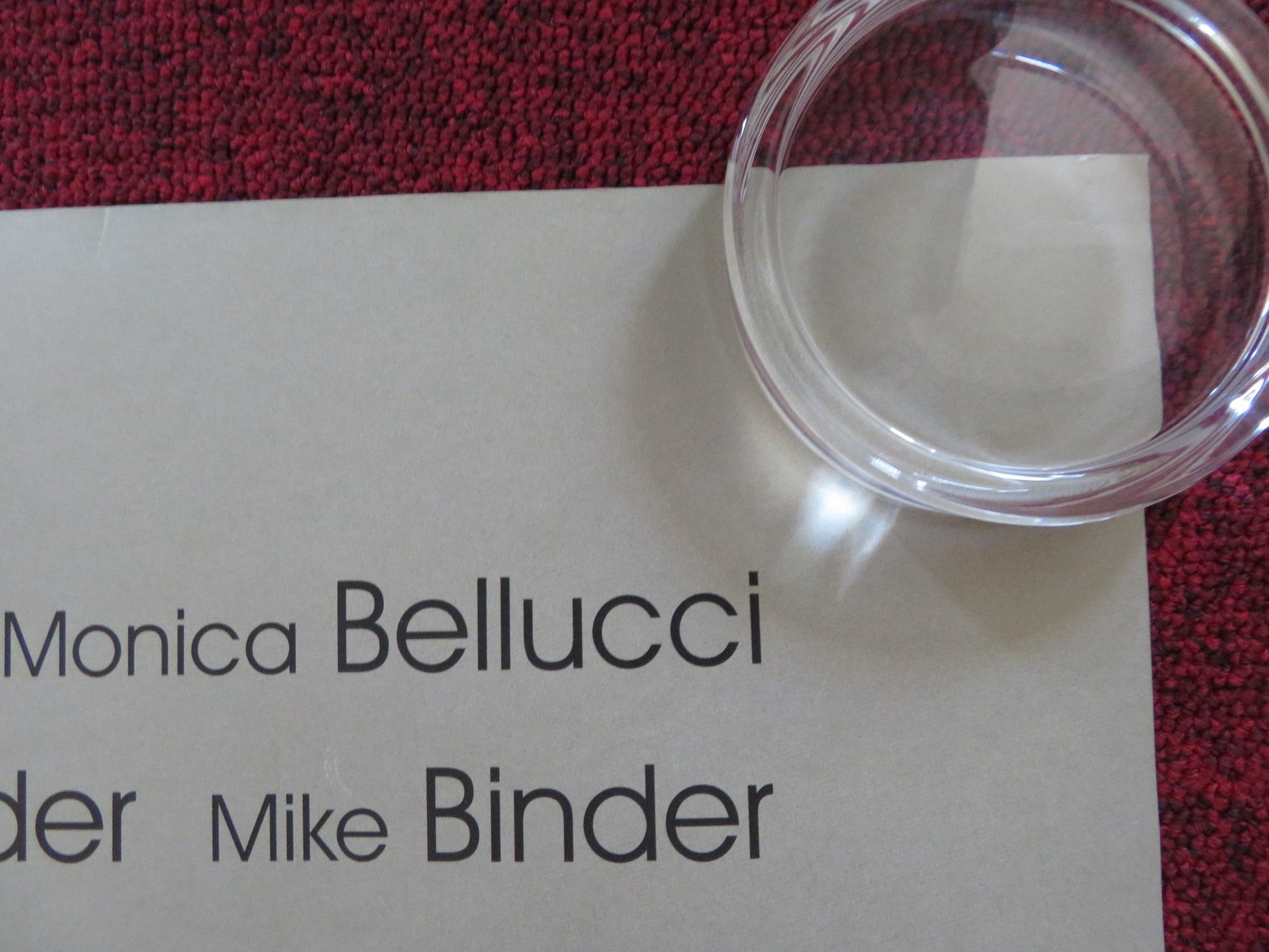 THE PRIVATE LIVES OF PIPPA LEE UK QUAD (30"x 40") ROLLED POSTER R. WRIGHT 2009 Rendezvous Cinema Movie posters