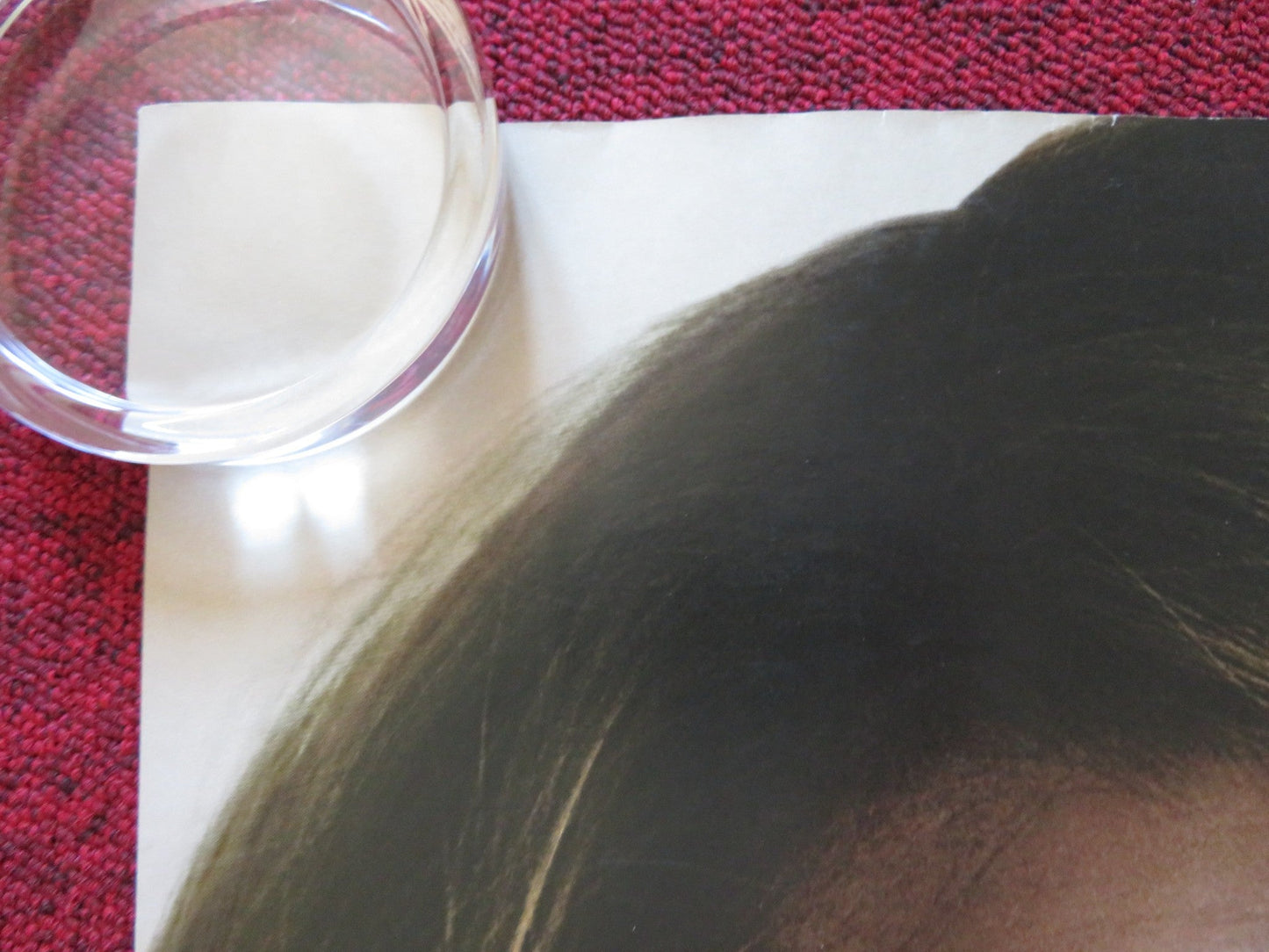 THE PRIVATE LIVES OF PIPPA LEE UK QUAD (30"x 40") ROLLED POSTER R. WRIGHT 2009 Rendezvous Cinema Movie posters