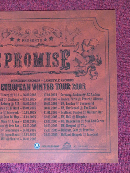 THE PROMISE US MUSIC PROMO TOUR POSTER 2005 Rendezvous Cinema Movie posters