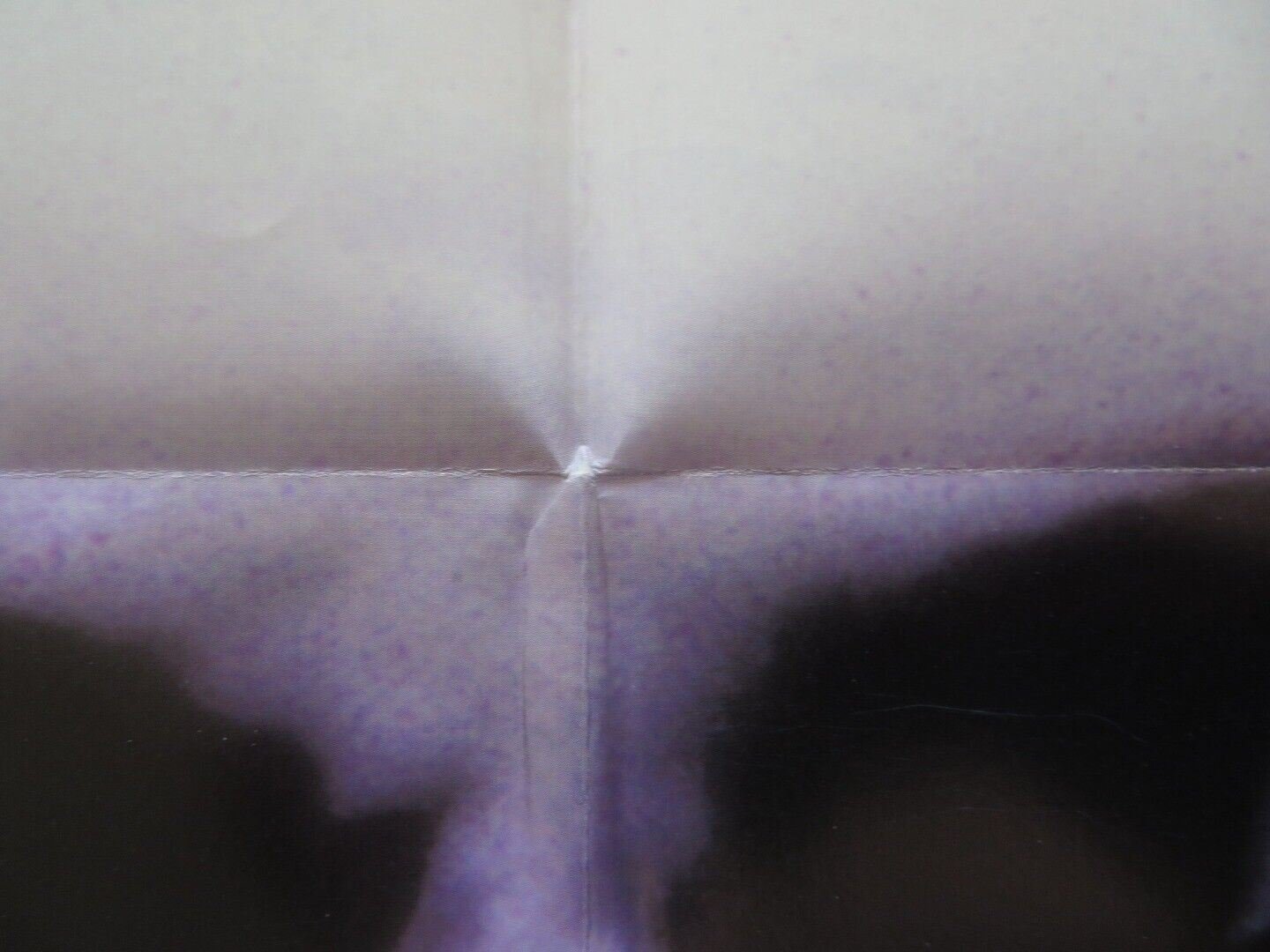 THE PSYCHIC FOLDED US ONE SHEET POSTER ZACH GALLIGAN CATHERINE MARY STEWART 1991 Movie posters