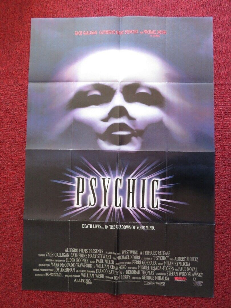 THE PSYCHIC FOLDED US ONE SHEET POSTER ZACH GALLIGAN CATHERINE MARY STEWART 1991 Movie posters