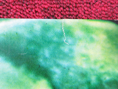 THE PSYCHO LOVER - B ITALIAN FOTOBUSTA POSTER LAWRENCE MONTAIGNE 1973 Rendezvous Cinema Movie posters