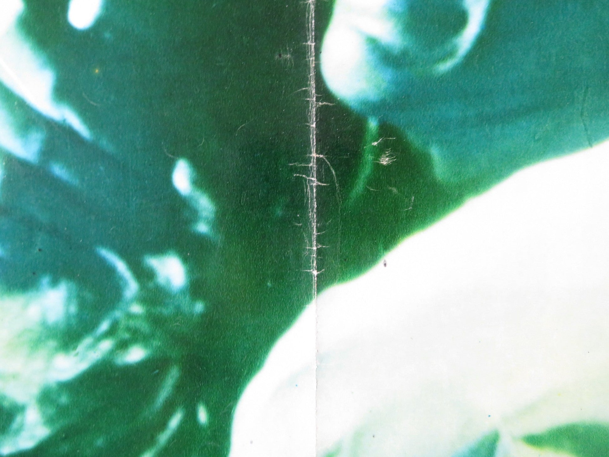 THE PSYCHO LOVER - B ITALIAN FOTOBUSTA POSTER LAWRENCE MONTAIGNE 1973 Rendezvous Cinema Movie posters