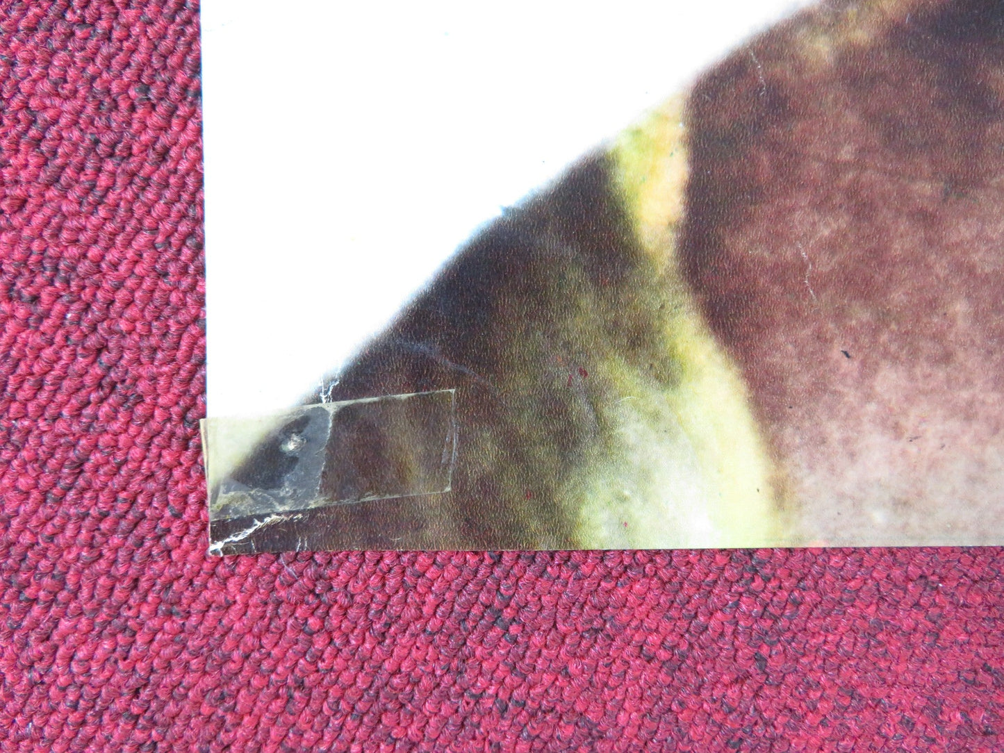 THE PSYCHO LOVER - E ITALIAN FOTOBUSTA POSTER LAWRENCE MONTAIGNE 1973 Rendezvous Cinema Movie posters