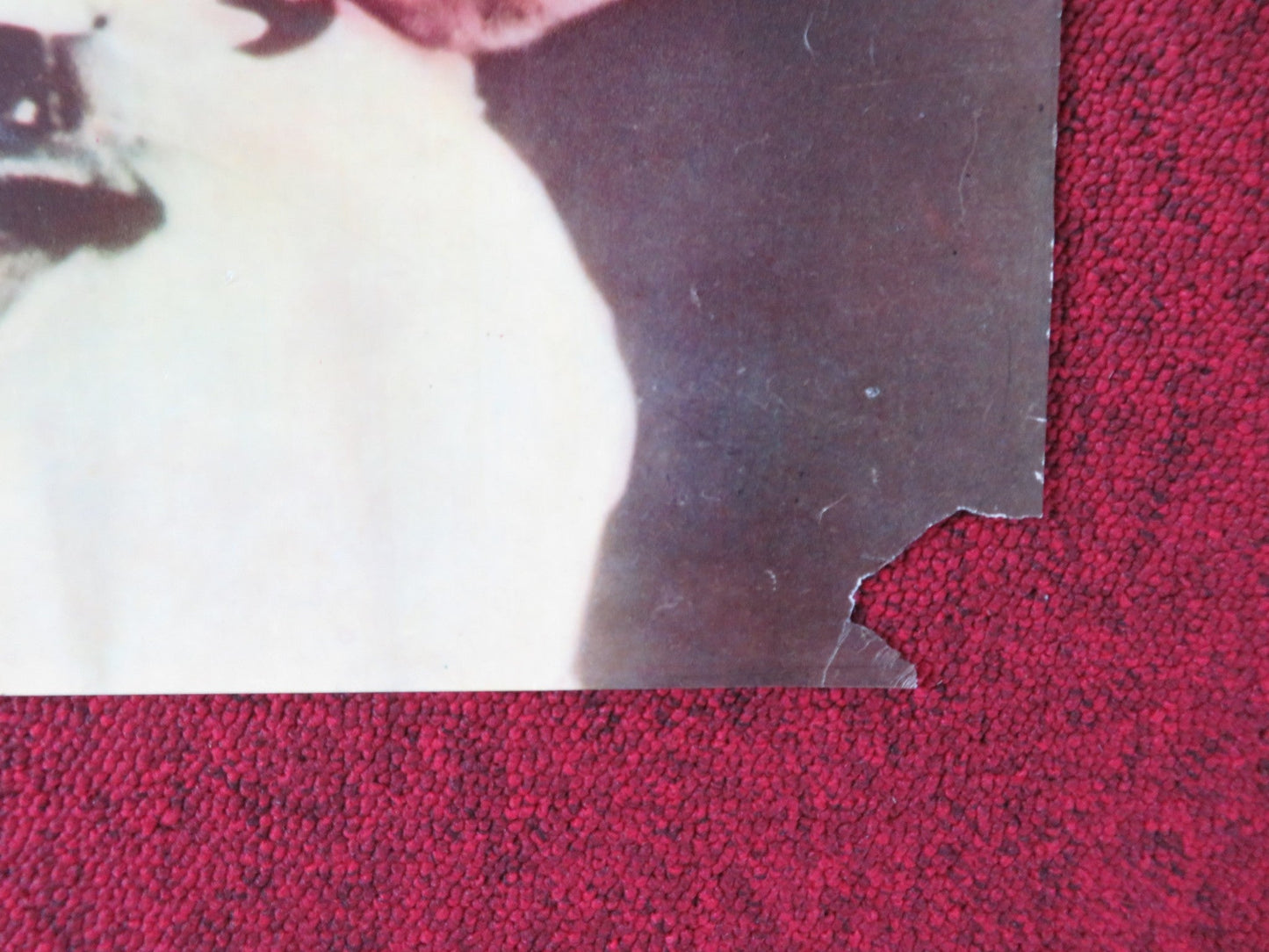 THE PSYCHO LOVER - G ITALIAN FOTOBUSTA POSTER LAWRENCE MONTAIGNE 1973 Rendezvous Cinema Movie posters