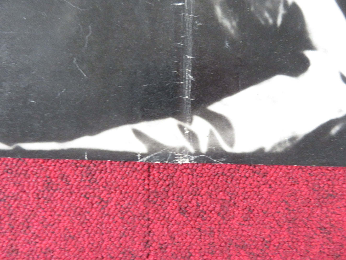 THE PSYCHO LOVER - H ITALIAN FOTOBUSTA POSTER LAWRENCE MONTAIGNE 1973 Rendezvous Cinema Movie posters