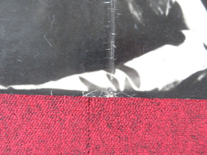 THE PSYCHO LOVER - H ITALIAN FOTOBUSTA POSTER LAWRENCE MONTAIGNE 1973 Rendezvous Cinema Movie posters