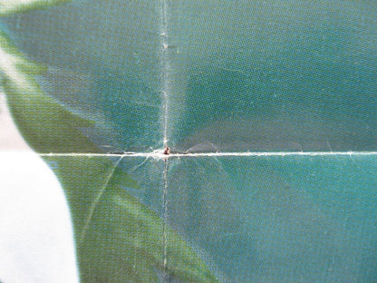 THE PUMPKIN EATER FOLDED US ONE SHEET POSTER WOODY ANNE BANCROFT PETER FINCH '64 Movie posters