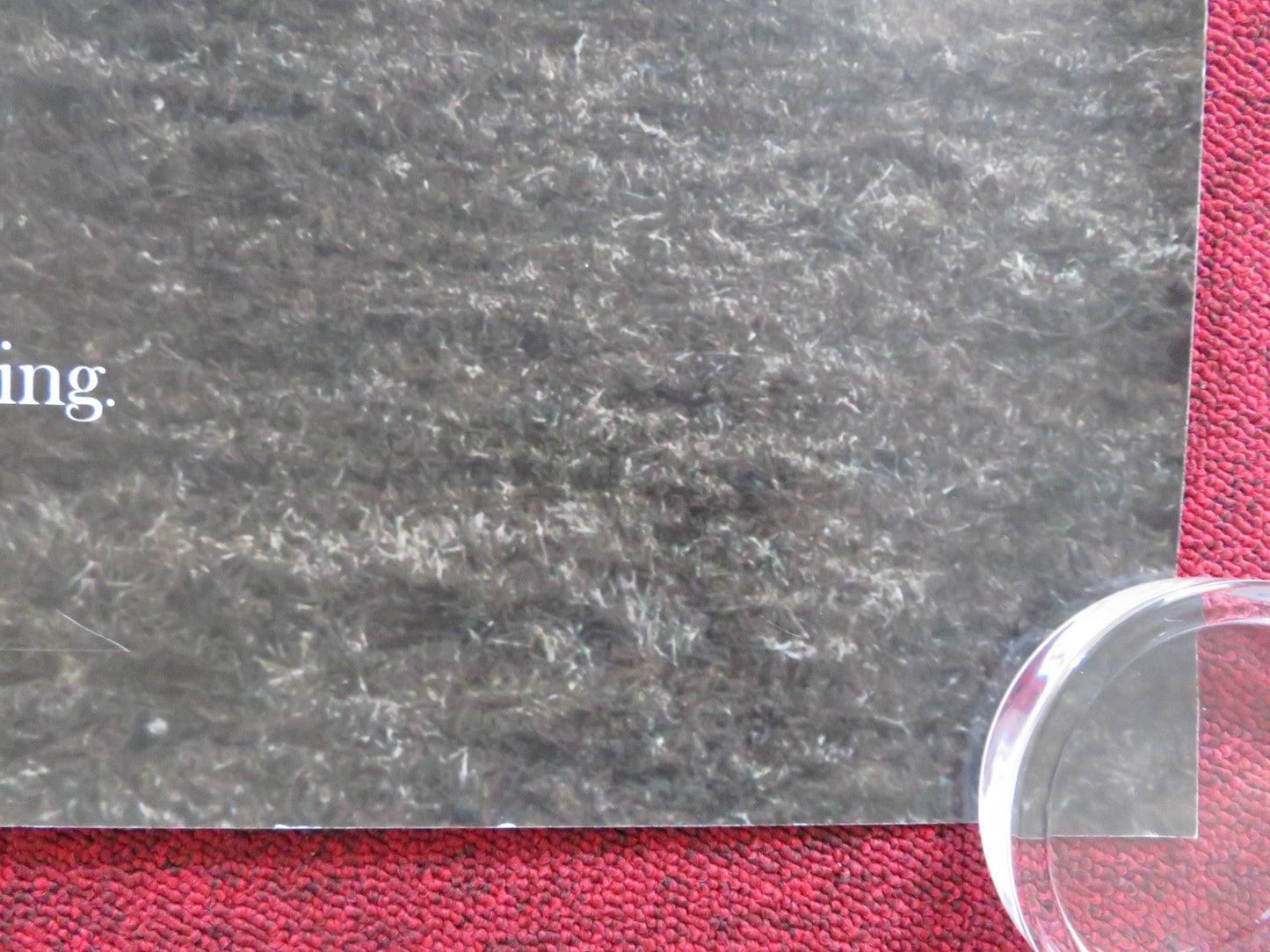 THE RAVEN ON THE JETTY UK QUAD (30"x 40") ROLLED POSTER ANNE FRASER A. LEES 2015 Rendezvous Cinema Movie posters