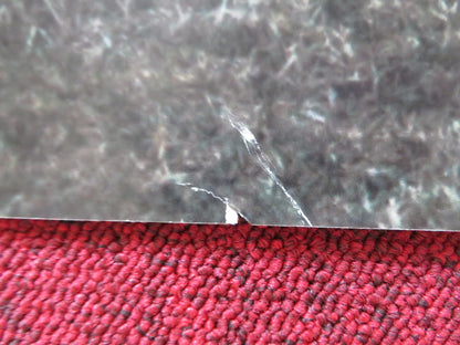 THE RAVEN ON THE JETTY UK QUAD (30"x 40") ROLLED POSTER ANNE FRASER A. LEES 2015 Rendezvous Cinema Movie posters