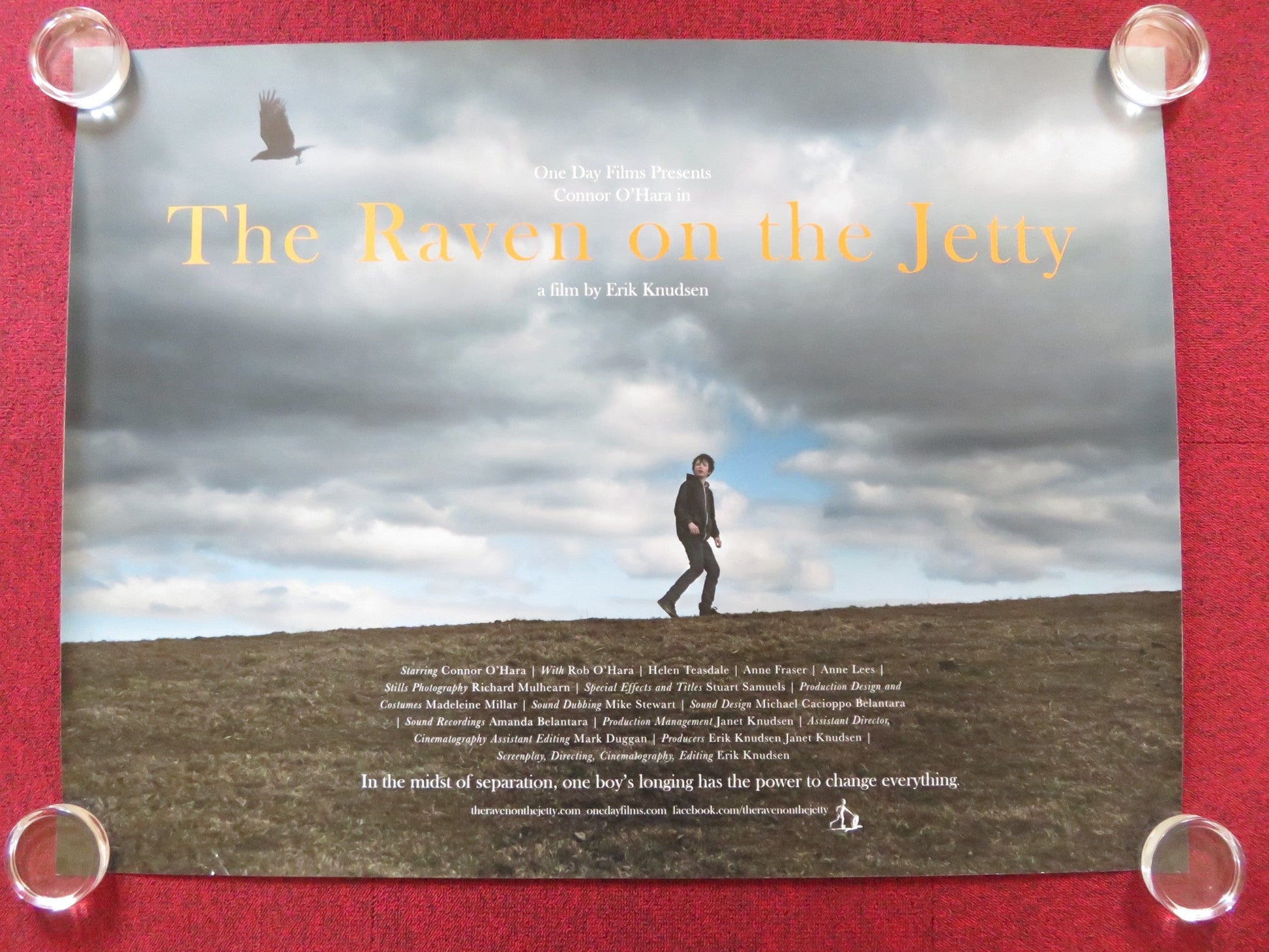 THE RAVEN ON THE JETTY UK QUAD (30"x 40") ROLLED POSTER ANNE FRASER A. LEES 2015 Rendezvous Cinema Movie posters