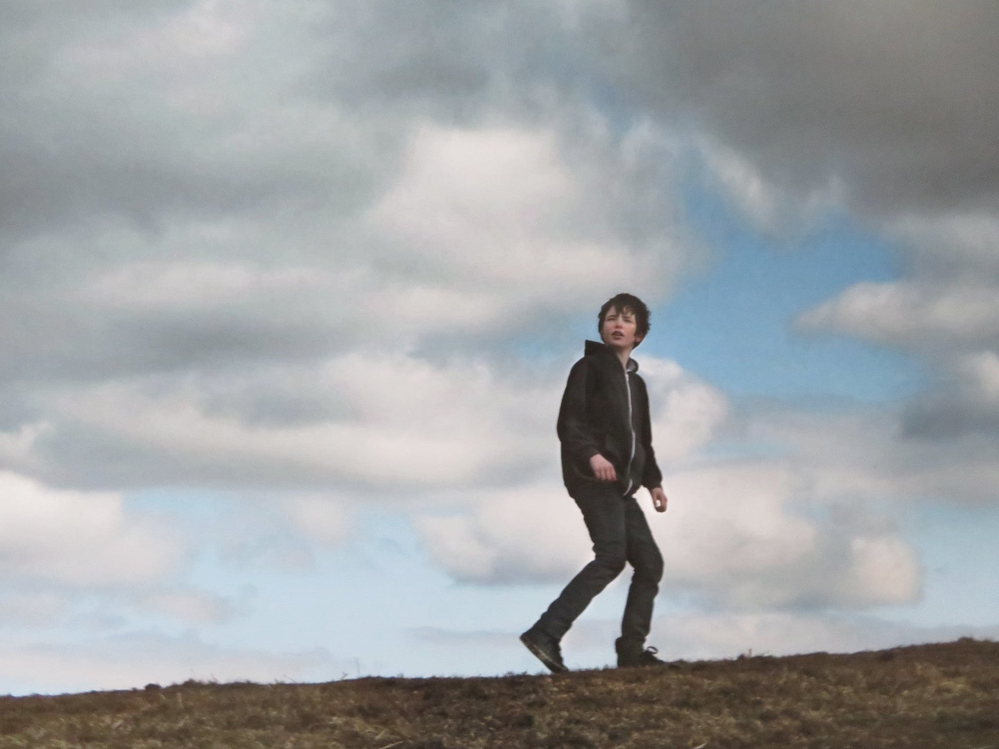 THE RAVEN ON THE JETTY UK QUAD (30"x 40") ROLLED POSTER ANNE FRASER A. LEES 2015 Rendezvous Cinema Movie posters