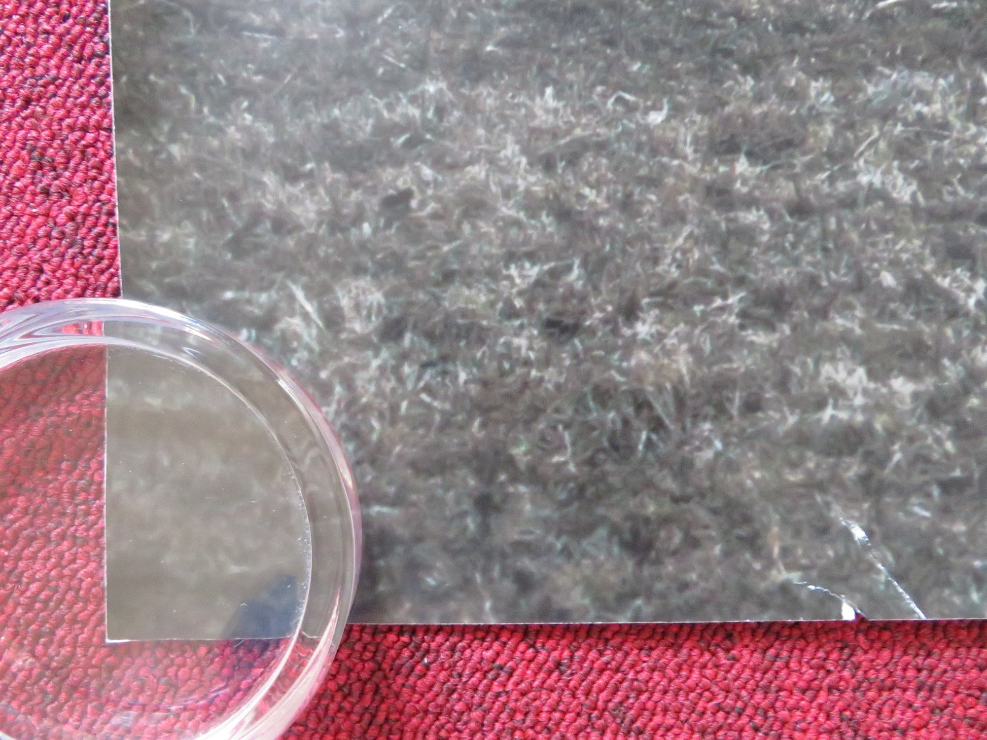 THE RAVEN ON THE JETTY UK QUAD (30"x 40") ROLLED POSTER ANNE FRASER A. LEES 2015 Rendezvous Cinema Movie posters