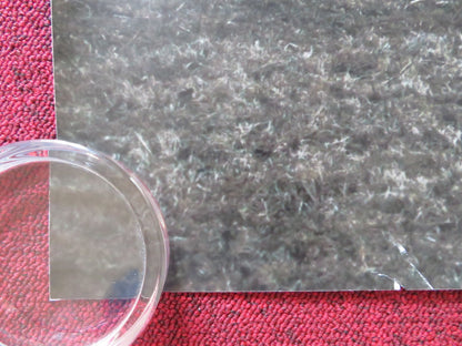 THE RAVEN ON THE JETTY UK QUAD (30"x 40") ROLLED POSTER ANNE FRASER A. LEES 2015 Rendezvous Cinema Movie posters