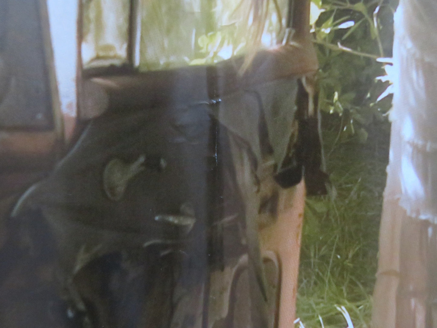 THE REAPING - A ITALIAN FOTOBUSTA POSTER HILARY SWANK IDRIS ELBA 2007 Rendezvous Cinema Movie posters