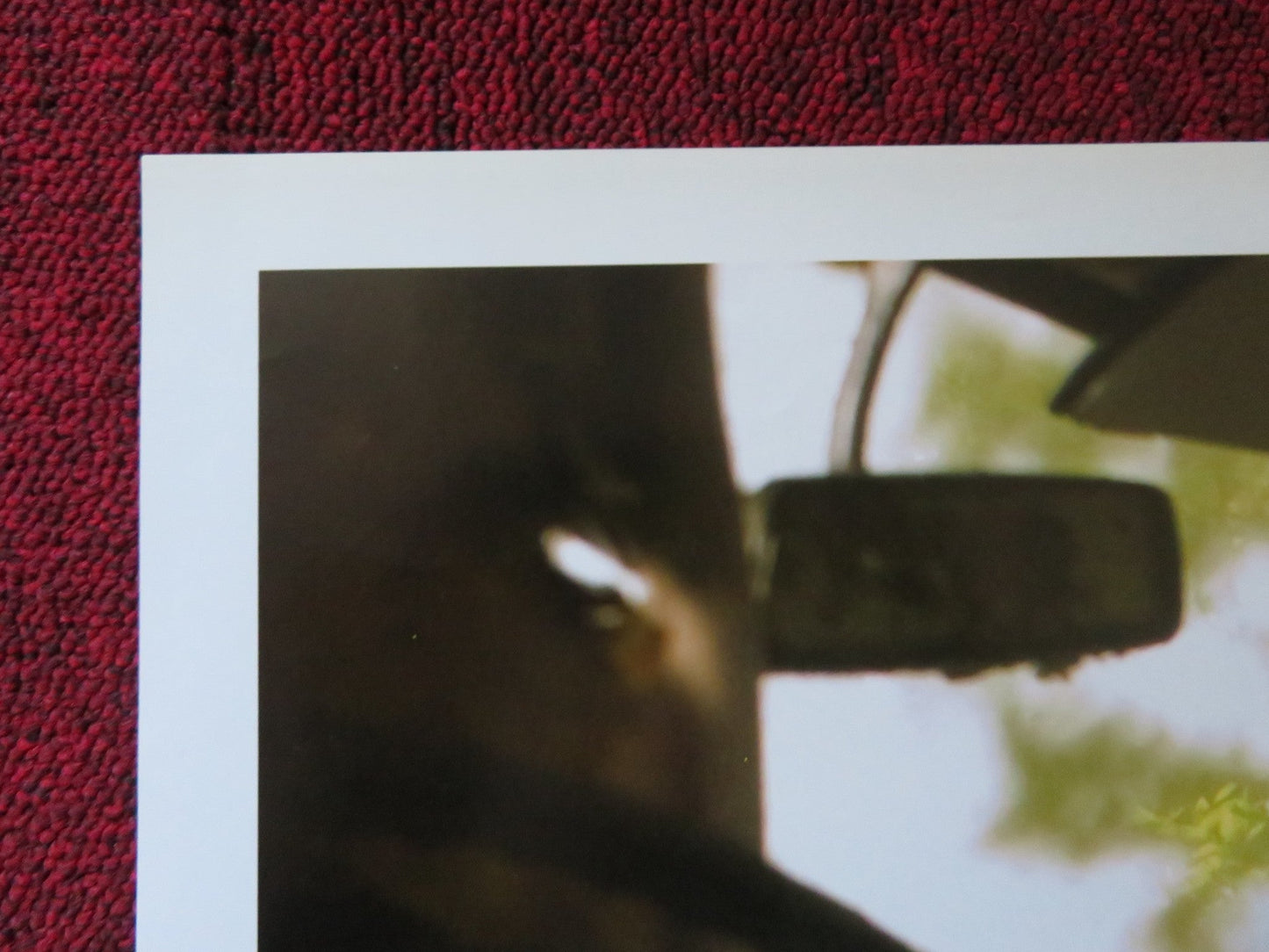 THE REAPING - A ITALIAN FOTOBUSTA POSTER HILARY SWANK IDRIS ELBA 2007 Rendezvous Cinema Movie posters