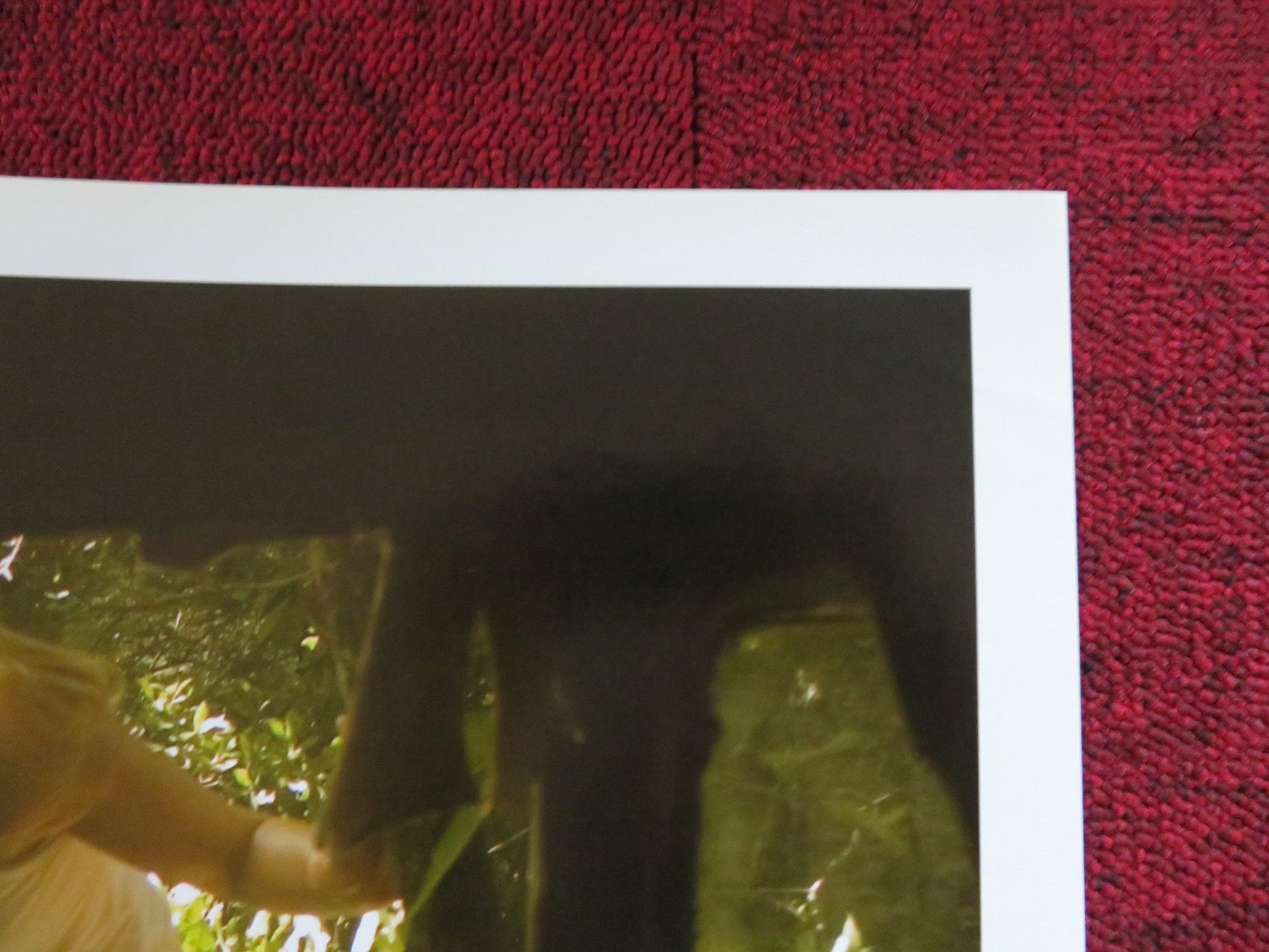 THE REAPING - A ITALIAN FOTOBUSTA POSTER HILARY SWANK IDRIS ELBA 2007 Rendezvous Cinema Movie posters