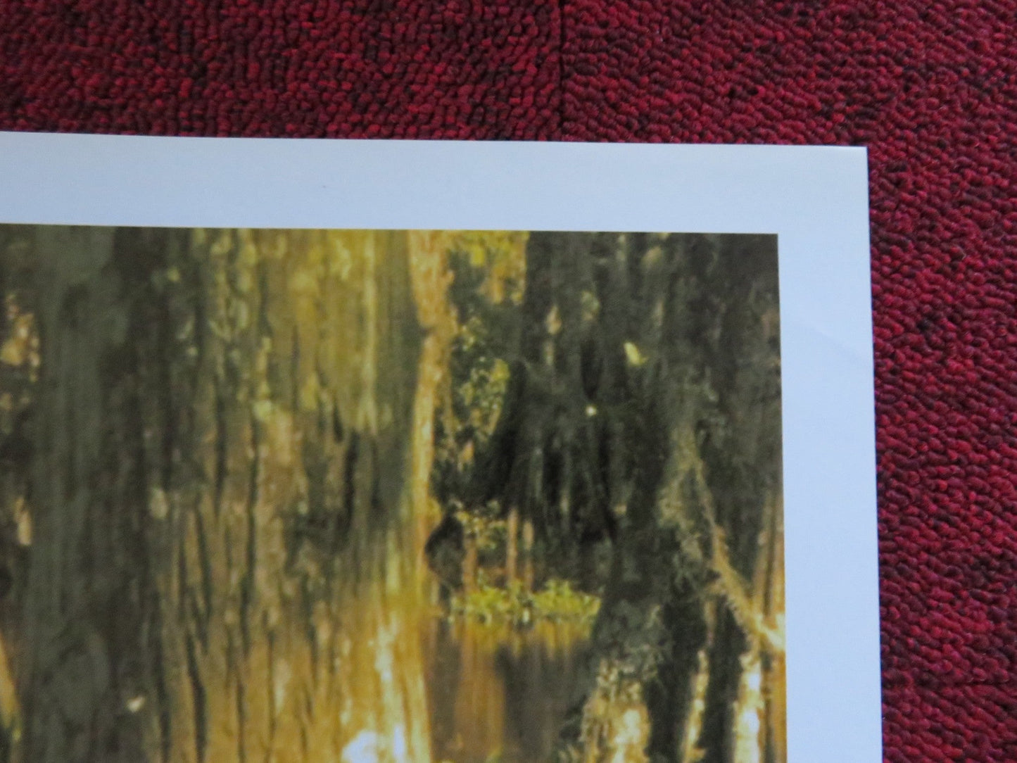 THE REAPING - B ITALIAN FOTOBUSTA POSTER HILARY SWANK IDRIS ELBA 2007 Rendezvous Cinema Movie posters