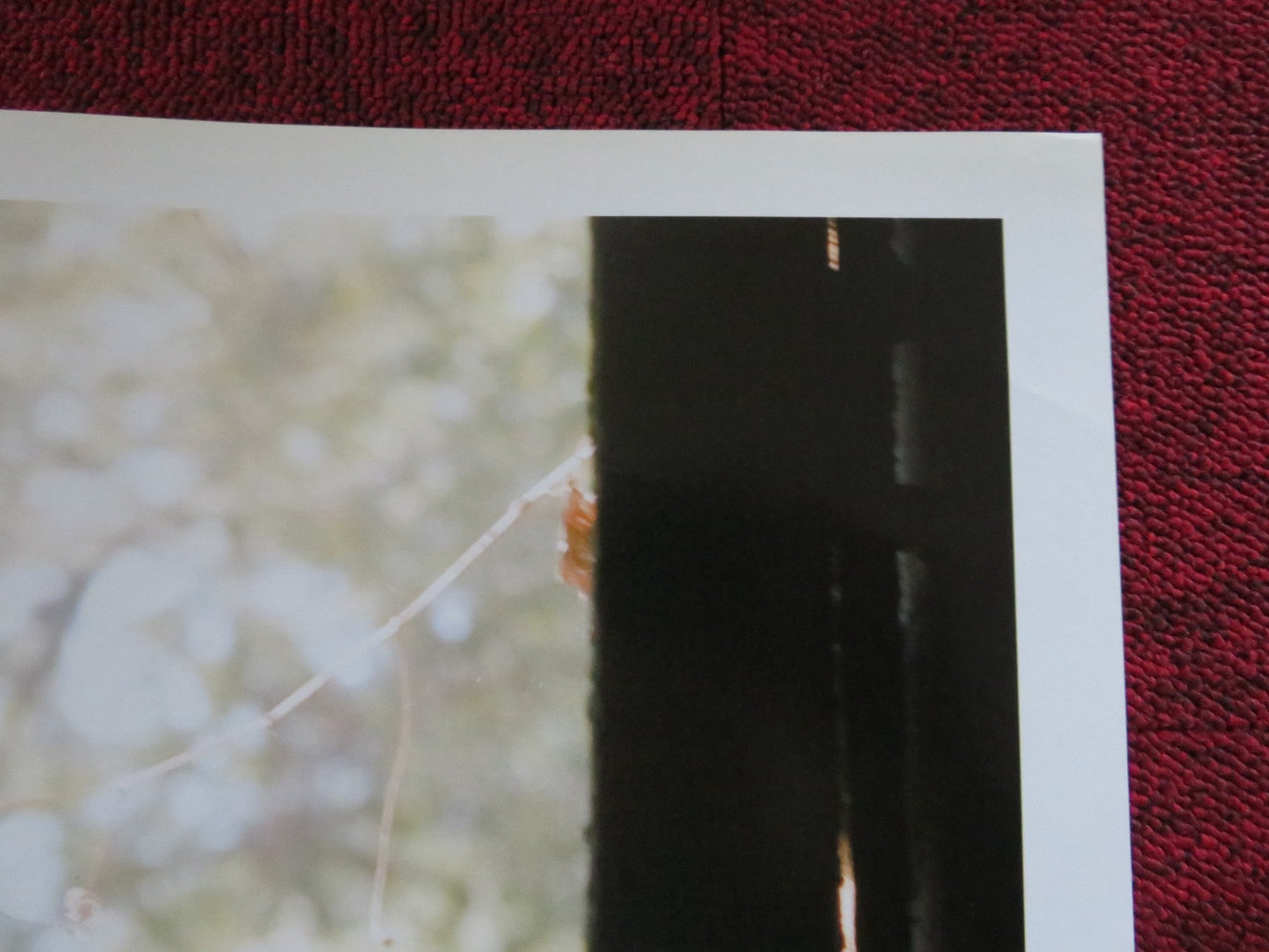 THE REAPING - C ITALIAN FOTOBUSTA POSTER HILARY SWANK IDRIS ELBA 2007 Rendezvous Cinema Movie posters