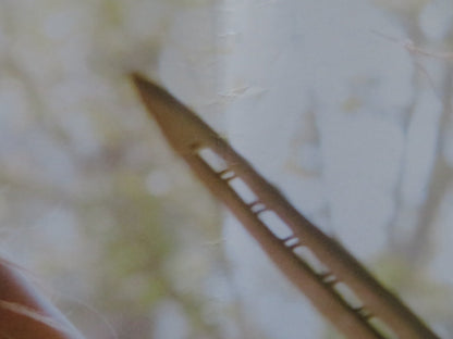 THE REAPING - C ITALIAN FOTOBUSTA POSTER HILARY SWANK IDRIS ELBA 2007 Rendezvous Cinema Movie posters