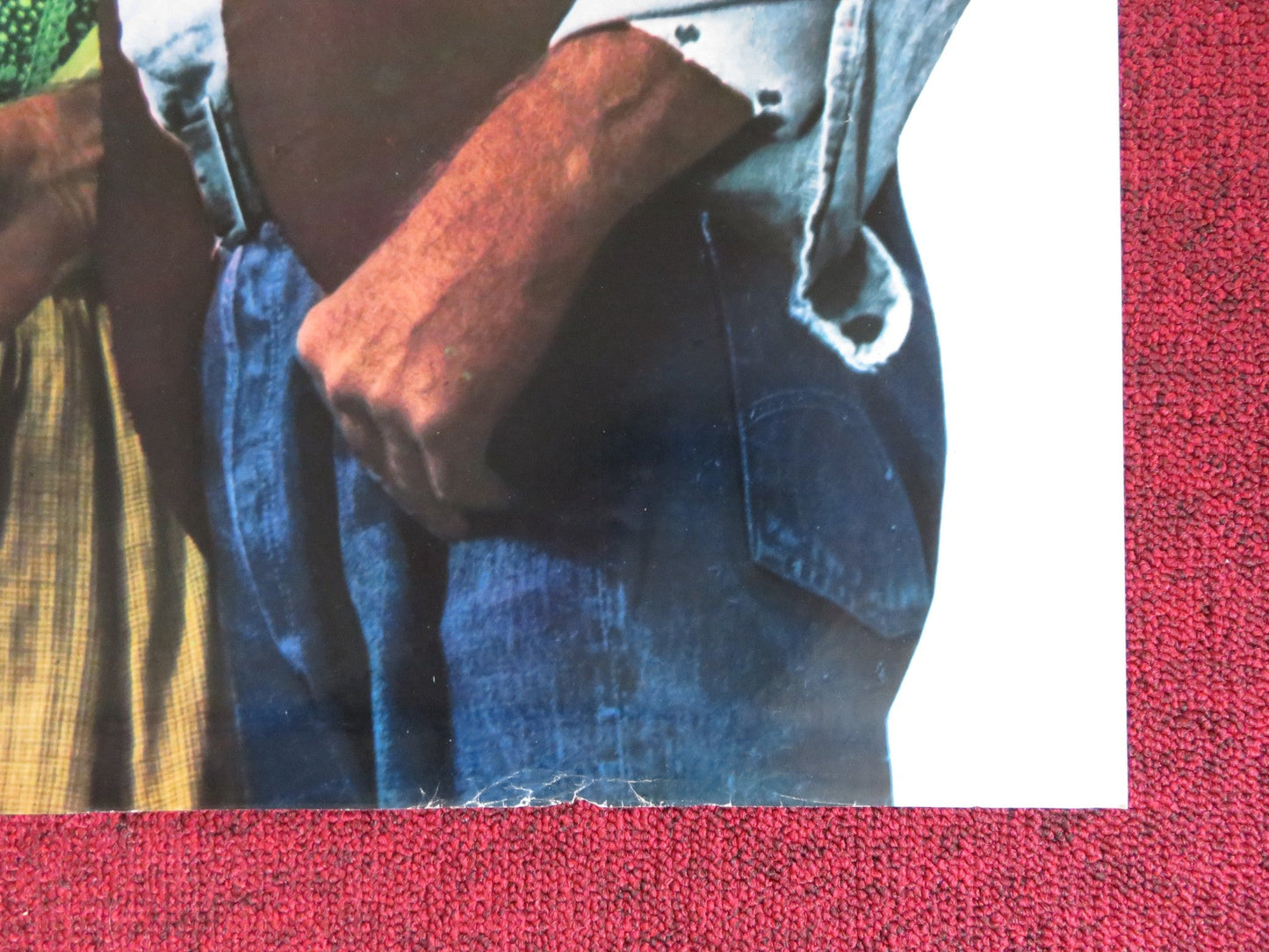 THE RED PONY - A ITALIAN FOGLIO POSTER HENRY FONDA MAUREEN O'HARA 1973 Rendezvous Cinema Movie posters