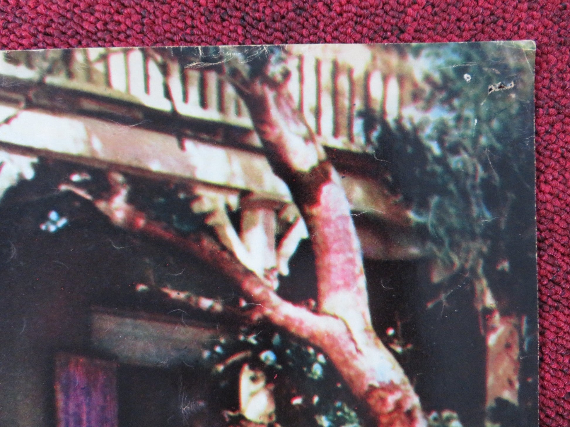 THE REDHEAD FROM WYOMING - A ITALIAN FOTOBUSTA POSTER MAUREEN O'HARA 1953 Rendezvous Cinema Movie posters