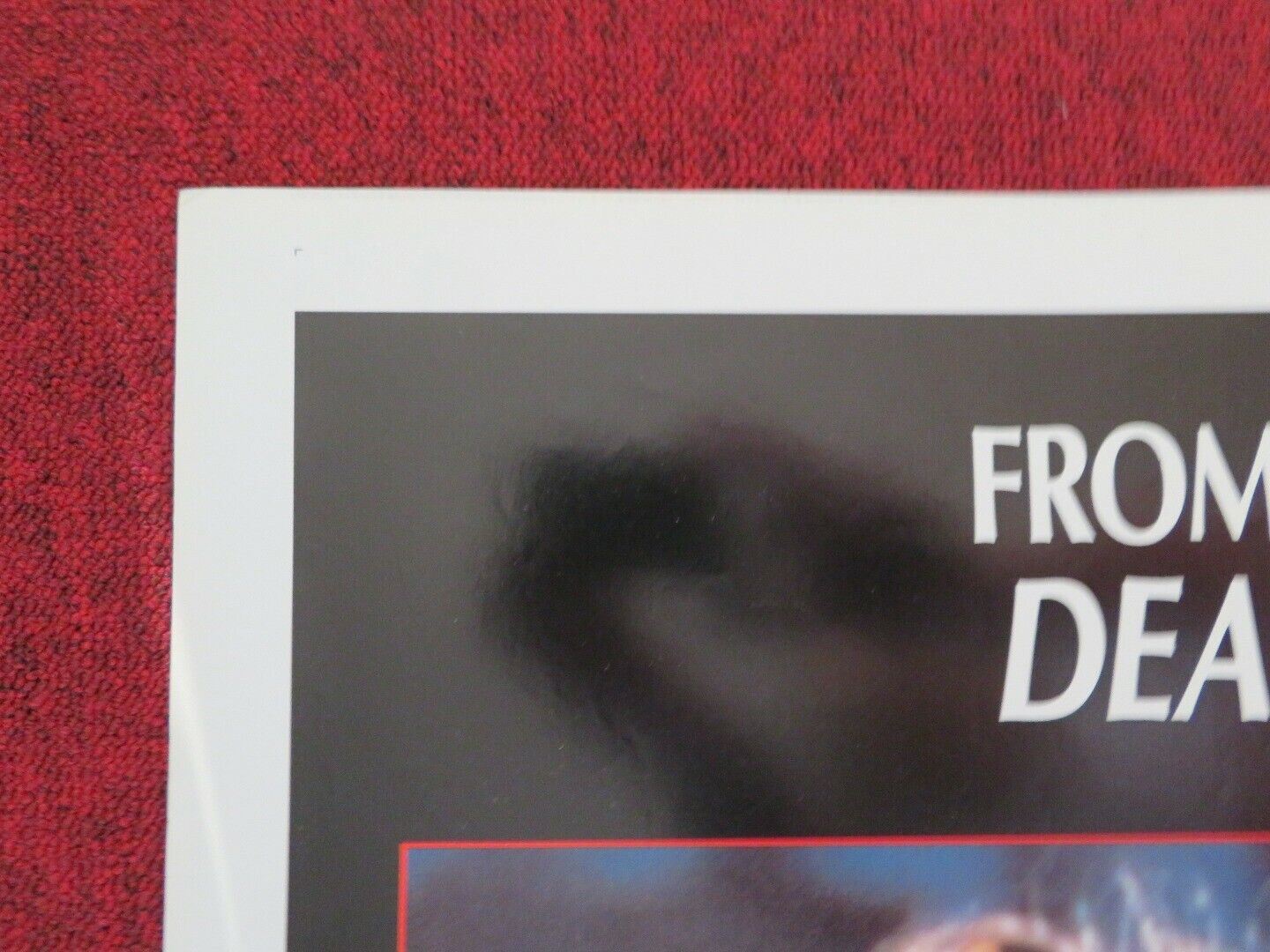 THE REJUVENATOR FOLDED US ONE SHEET POSTER VIVIAN LANKO JOHN MACKAY 1988 Movie posters