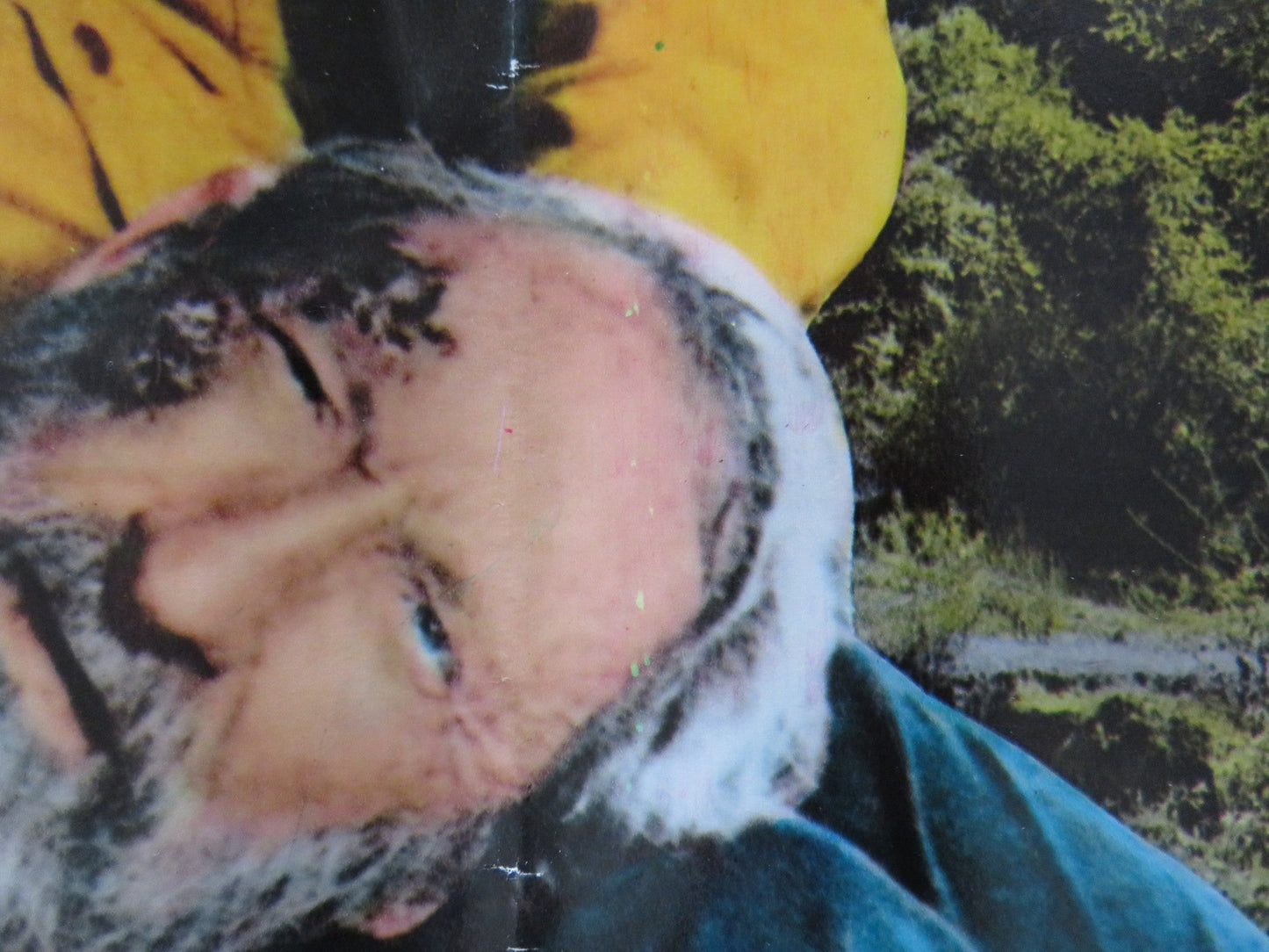 THE REVENGERS - A ITALIAN FOTOBUSTA POSTER WILLIAM HOLDEN ERNEST BORNINE 1972 Rendezvous Cinema Movie posters