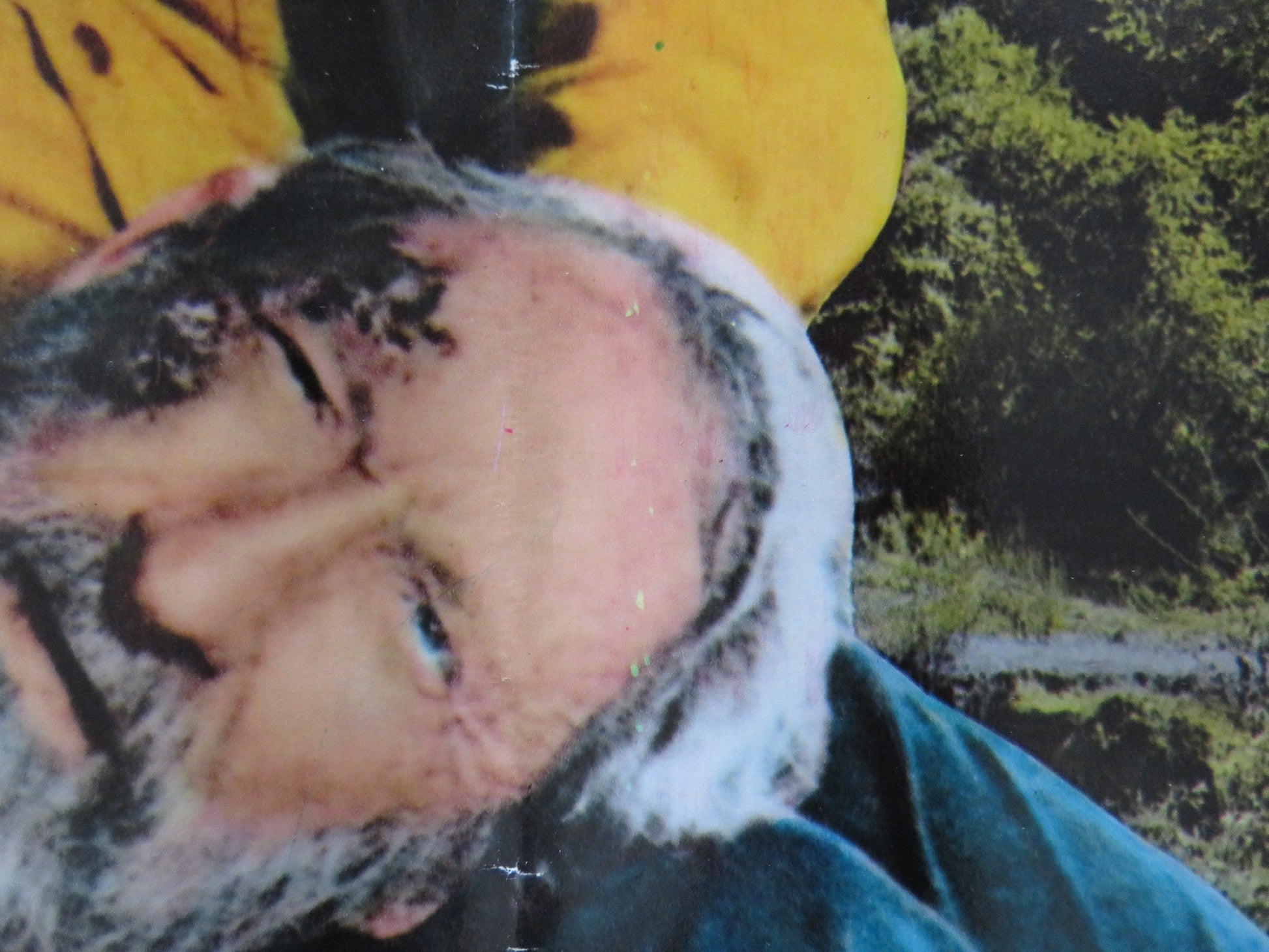 THE REVENGERS - A ITALIAN FOTOBUSTA POSTER WILLIAM HOLDEN ERNEST BORNINE 1972 Rendezvous Cinema Movie posters