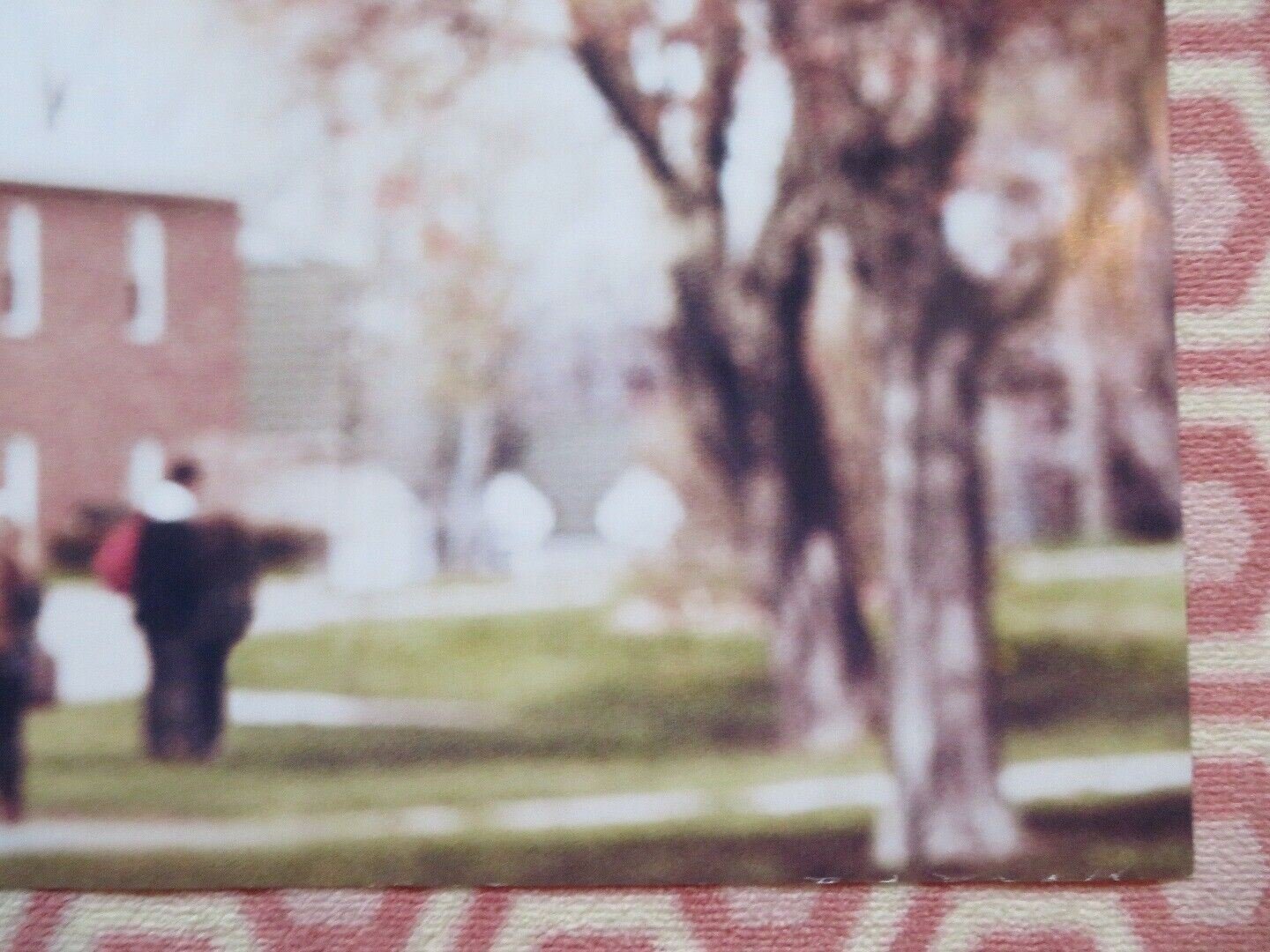 THE REWRITE QUAD (30"x 40") ROLLED POSTER HUGH GRANT MARISA TOMEI 2014 Movie posters